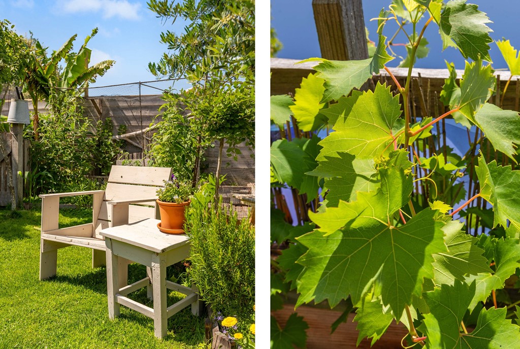 20250623 Zonnehoek 62, Vijfhuizen,foto-55.jpg